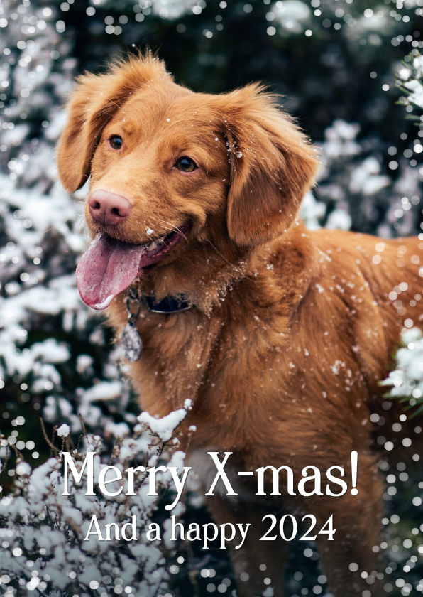 Kerstkaarten - Kerstkaart met foto van hond en sneeuwvlokjes