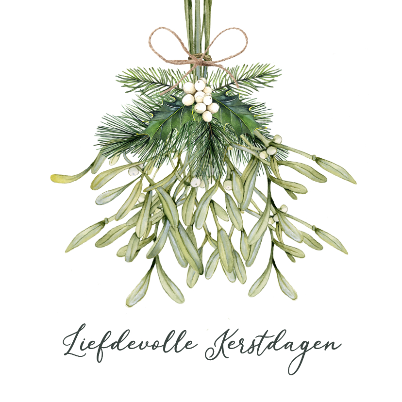 Kerstkaarten - Kerstkaart met geïllustreerde mistletoe tak 