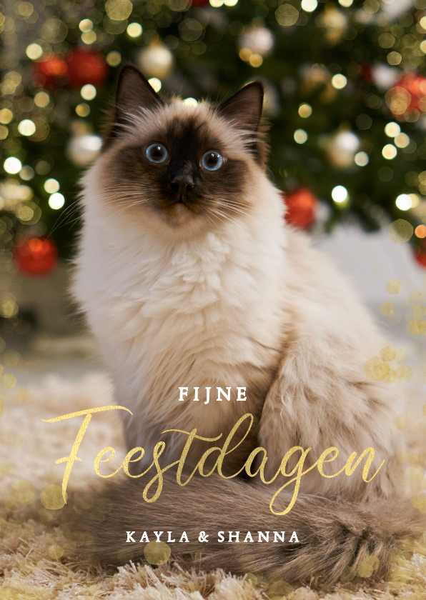 Kerstkaarten - Kerstkaart met grote eigen foto van kat 