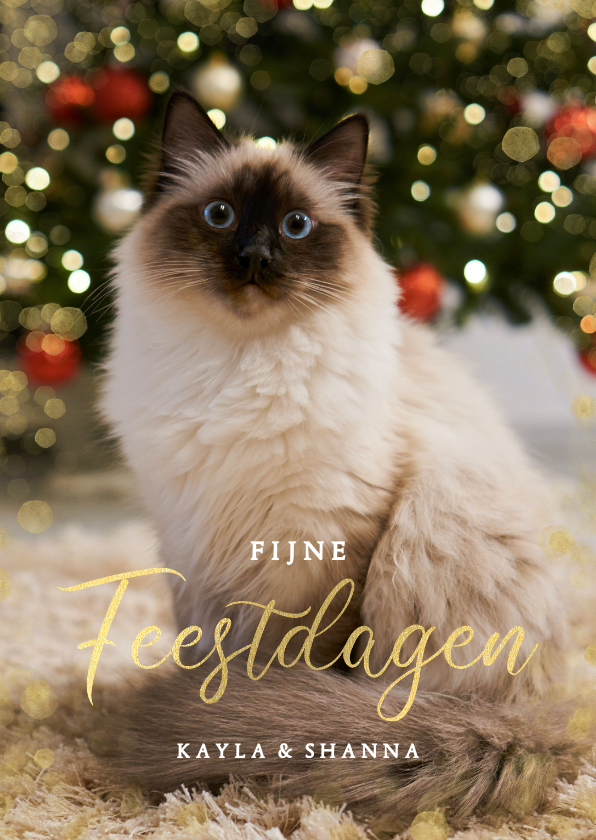 Kerstkaarten - Kerstkaart met grote eigen foto van kat 