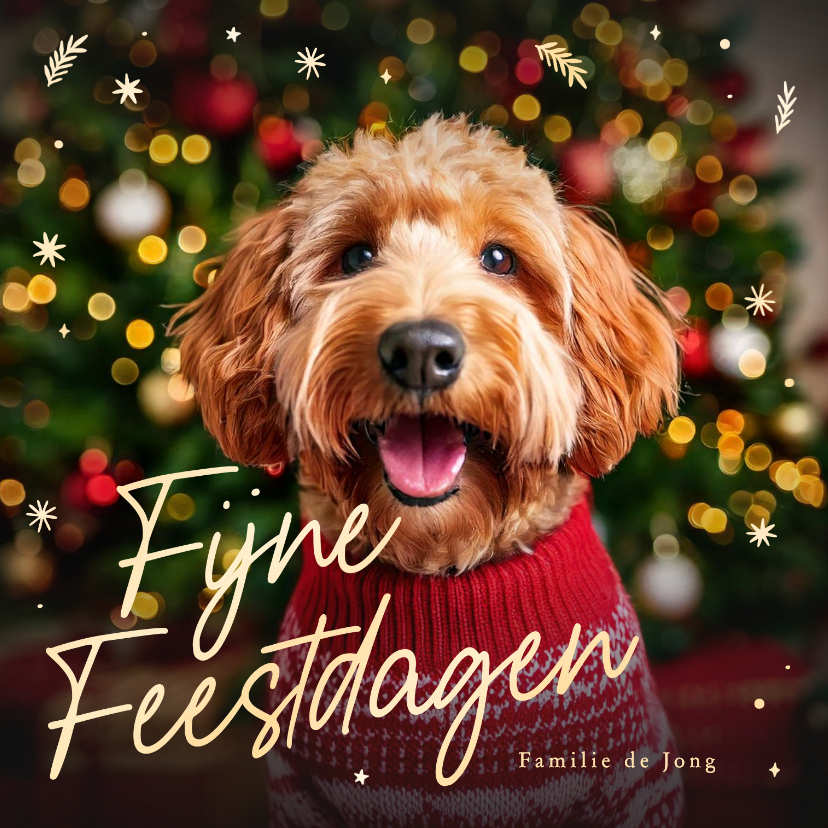 Kerstkaart met grote foto van je huisdier en gouden sterren - Kerstkaarten Kerstkaarten - Kerstkaart met grote foto van je huisdier en gouden sterren