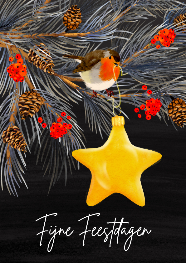 Kerstkaart met roodborstje en kerstster - Kerstkaarten Kerstkaarten - Kerstkaart met roodborstje en kerstster