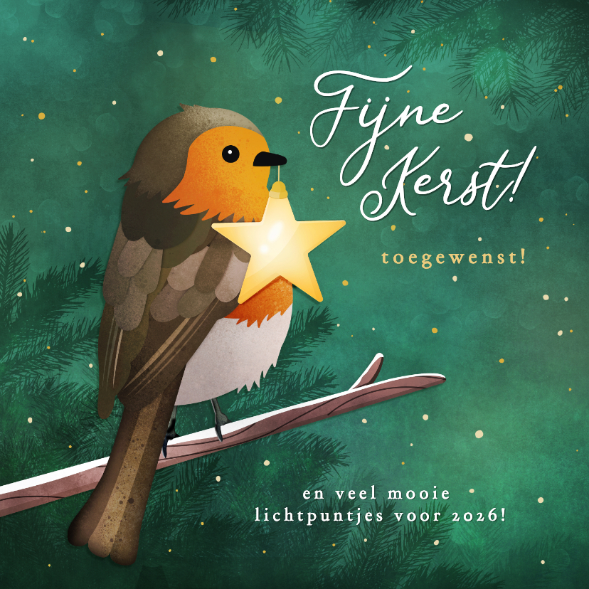 Kerstkaarten - Kerstkaart met roodborstje op tak met ster lichtje