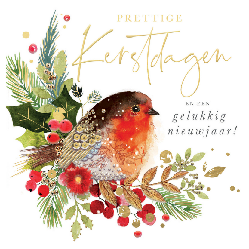 Kerstkaart met roodborstje takjes Robins - Kerstkaarten Kerstkaarten - Kerstkaart met roodborstje takjes Robins