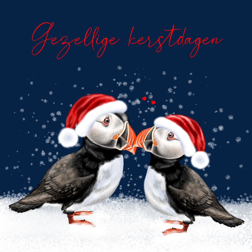 Kerstkaarten - Kerstkaart met twee papegaaiduikers