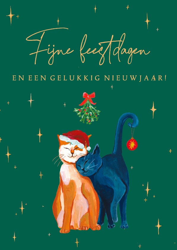 Kerstkaart met twee poezen en sterren - Kerstkaarten Kerstkaarten - Kerstkaart met twee poezen en sterren