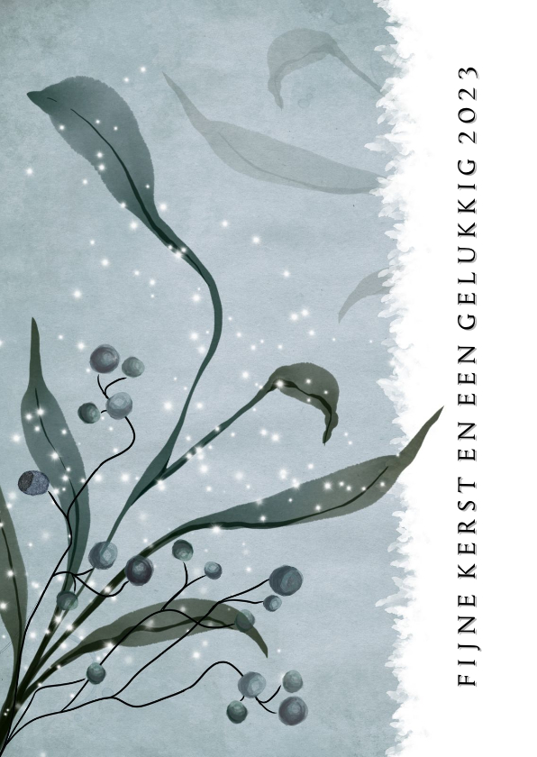 Kerstkaart modern 2022-2023 winters met sterretjes en takje - Kerstkaarten Kerstkaarten - Kerstkaart modern 2022-2023 winters met sterretjes en takje