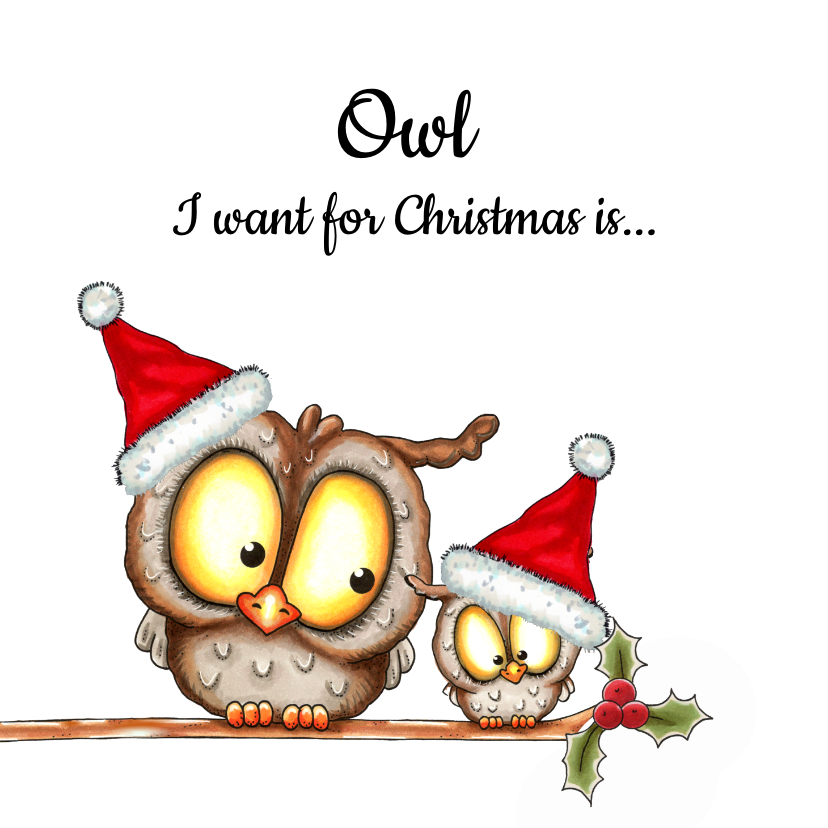 Kerstkaarten - Kerstkaart 'owl I want for Christmas'