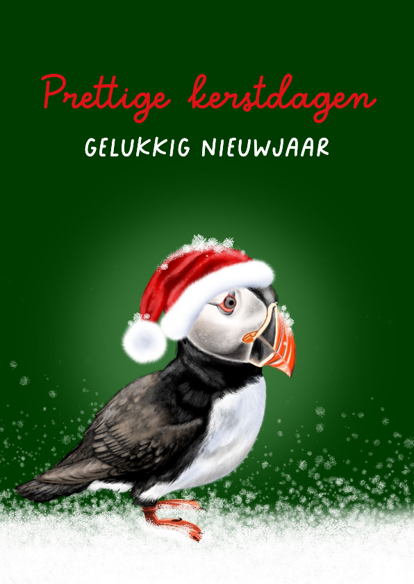 Kerstkaart papegaaiduiker in de winter - Kerstkaarten Kerstkaarten - Kerstkaart papegaaiduiker in de winter