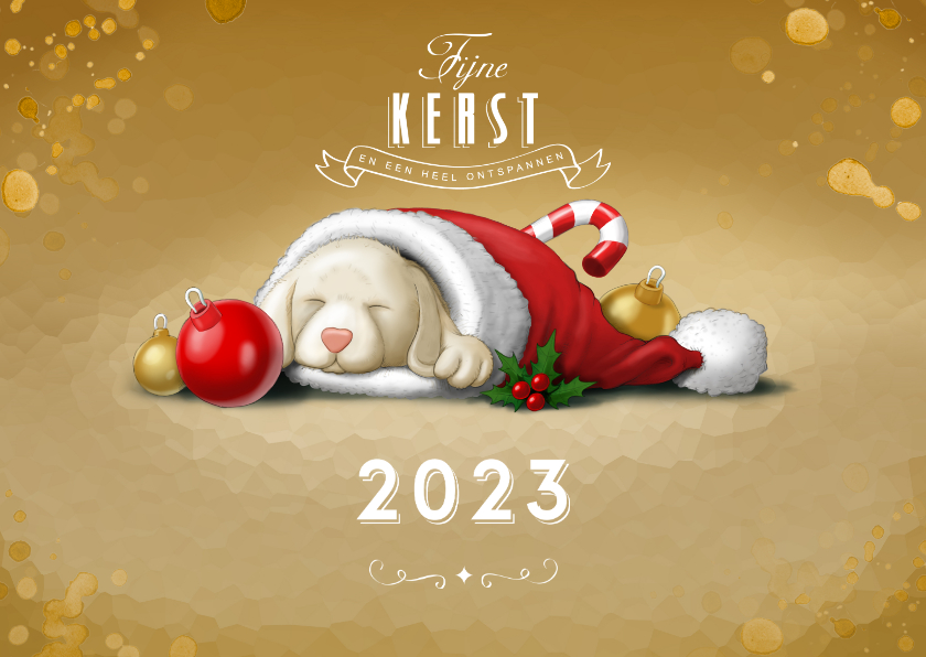 Kerstkaarten - Kerstkaart puppy in kerstmuts