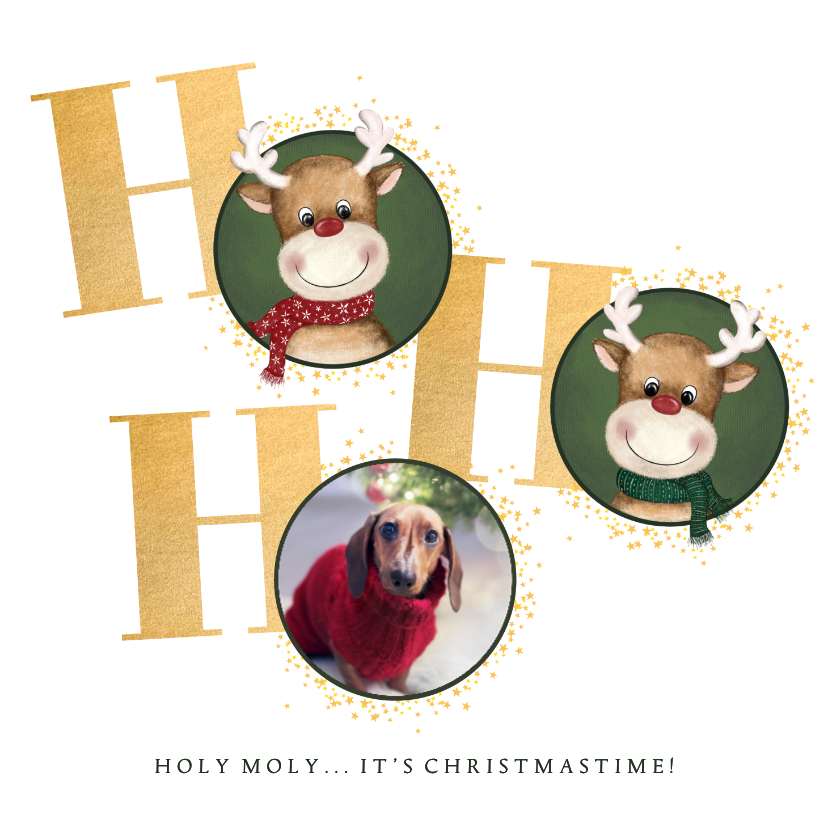 Kerstkaarten - Kerstkaart rendier en foto Holy Moly it’s Christmastime