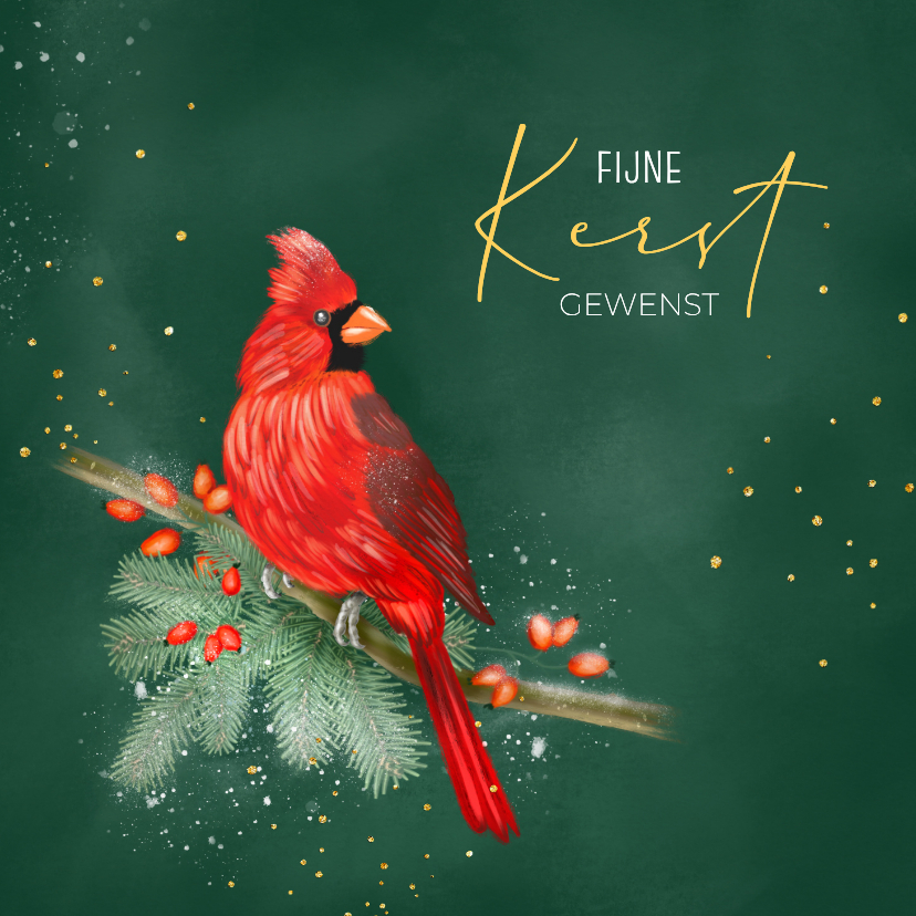 Kerstkaart rode kardinaal - Kerstkaarten Kerstkaarten - Kerstkaart rode kardinaal