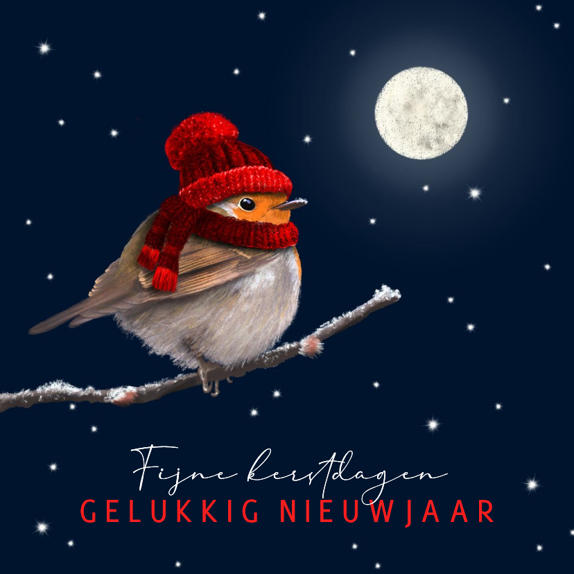 Kerstkaart roodborst rode muts en maan - Kerstkaarten Kerstkaarten - Kerstkaart roodborst rode muts en maan