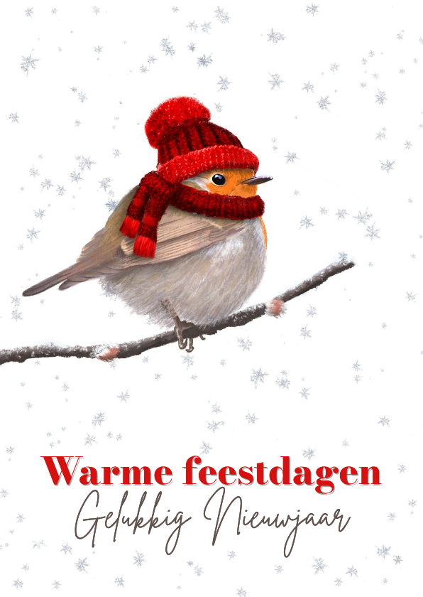 Kerstkaart roodborst rode muts - Kerstkaarten Kerstkaarten - Kerstkaart roodborst rode muts