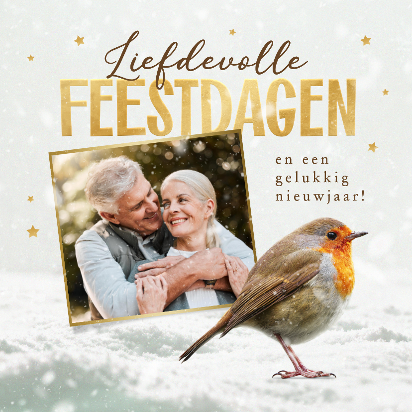 Kerstkaarten - Kerstkaart roodborstje foto fijne feestdagen sneeuw 