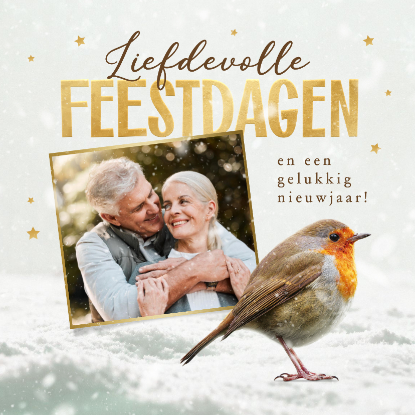 Kerstkaarten - Kerstkaart roodborstje foto fijne feestdagen sneeuw 