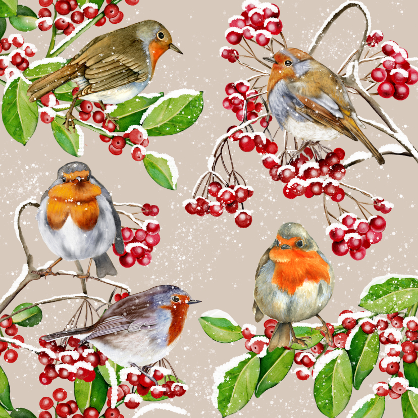 Kerstkaart roodborstjes in de winter op takjes - Kerstkaarten Kerstkaarten - Kerstkaart roodborstjes in de winter op takjes