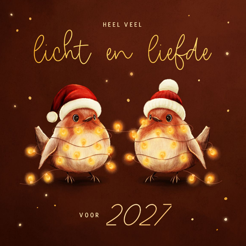 Kerstkaart roodborstjes met lampjes licht en liefde - Kerstkaarten Kerstkaarten - Kerstkaart roodborstjes met lampjes licht en liefde