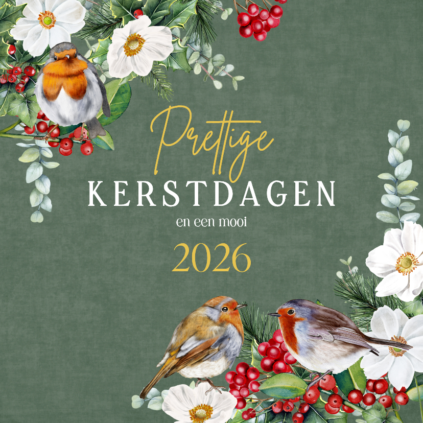 Kerstkaarten - Kerstkaart roodborstjes op groen fluweellook