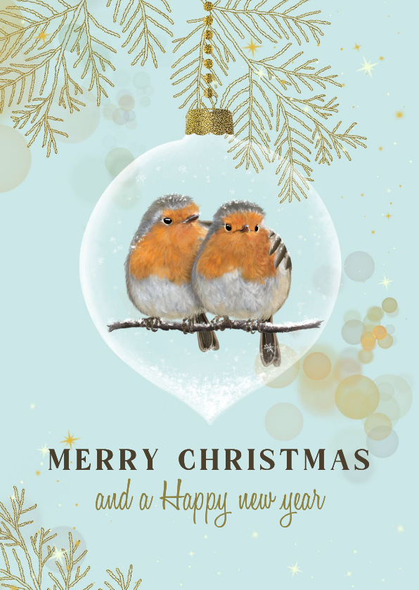Kerstkaart roodborstjes samen in glazen kerstbal - Kerstkaarten Kerstkaarten - Kerstkaart roodborstjes samen in glazen kerstbal