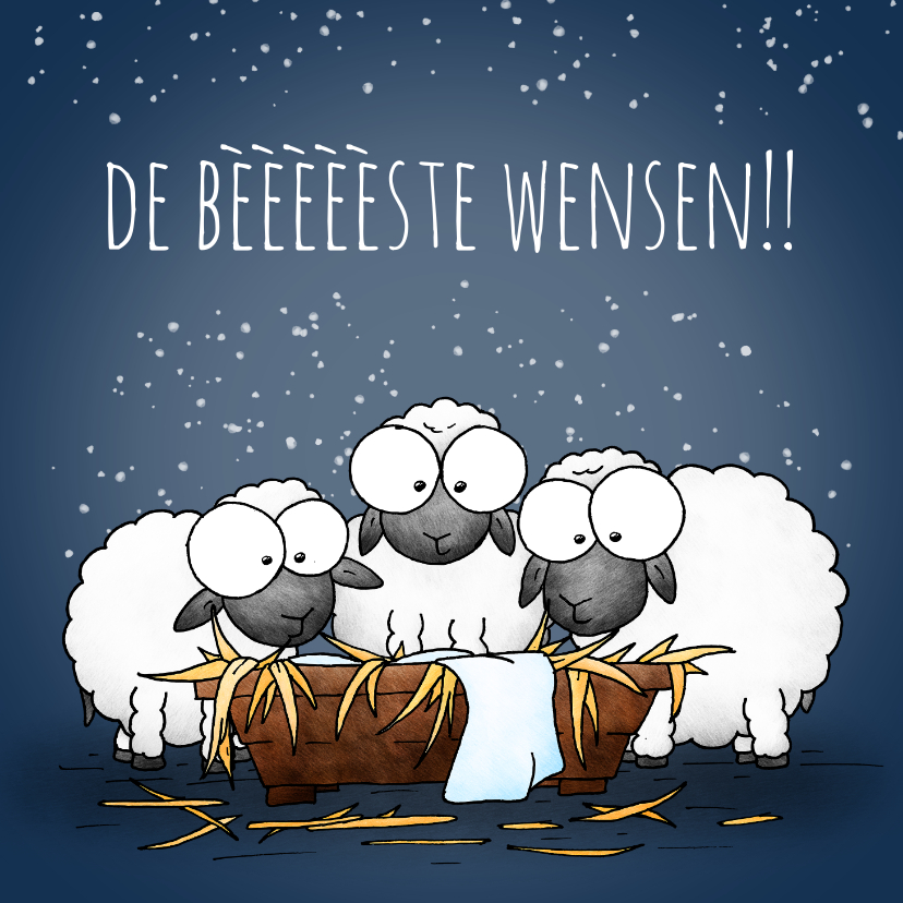 Kerstkaarten - Kerstkaart schapen bij de kribbe - De bèèèèèste wensen!