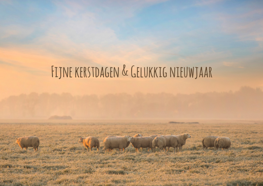 Kerstkaart schapen in de winter - Kerstkaarten Kerstkaarten - Kerstkaart schapen in de winter