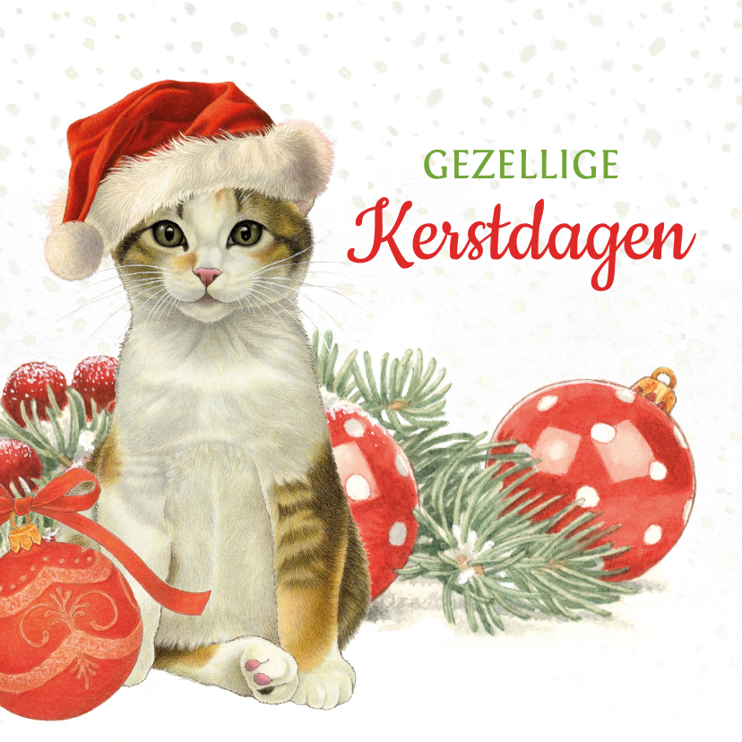 Kerstkaarten - Kerstkaart schattige kat met kerstmuts