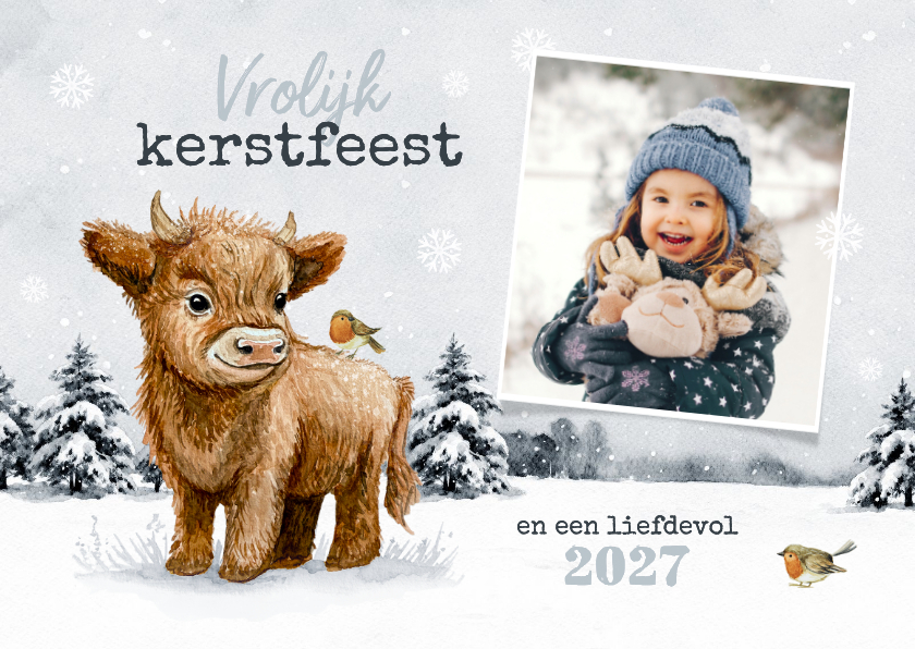Kerstkaarten - Kerstkaart Schotse hooglander roodborstjes foto winter