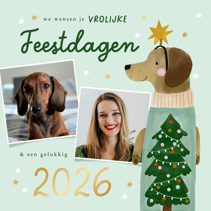 Kerstkaarten - Kerstkaart teckel kerstboom sterren en foto's jaartal