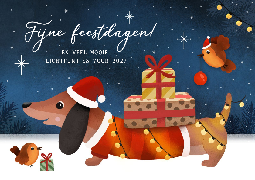 Kerstkaarten - Kerstkaart teckel met lampjes, sneeuw en roodborstje