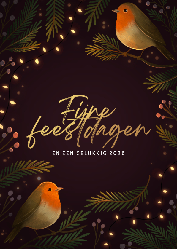 Kerstkaarten - Kerstkaart twee roodborstjes met kerstlampjes