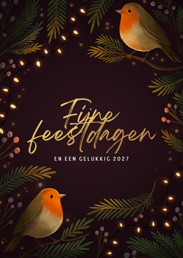 Kerstkaarten - Kerstkaart twee roodborstjes met kerstlampjes