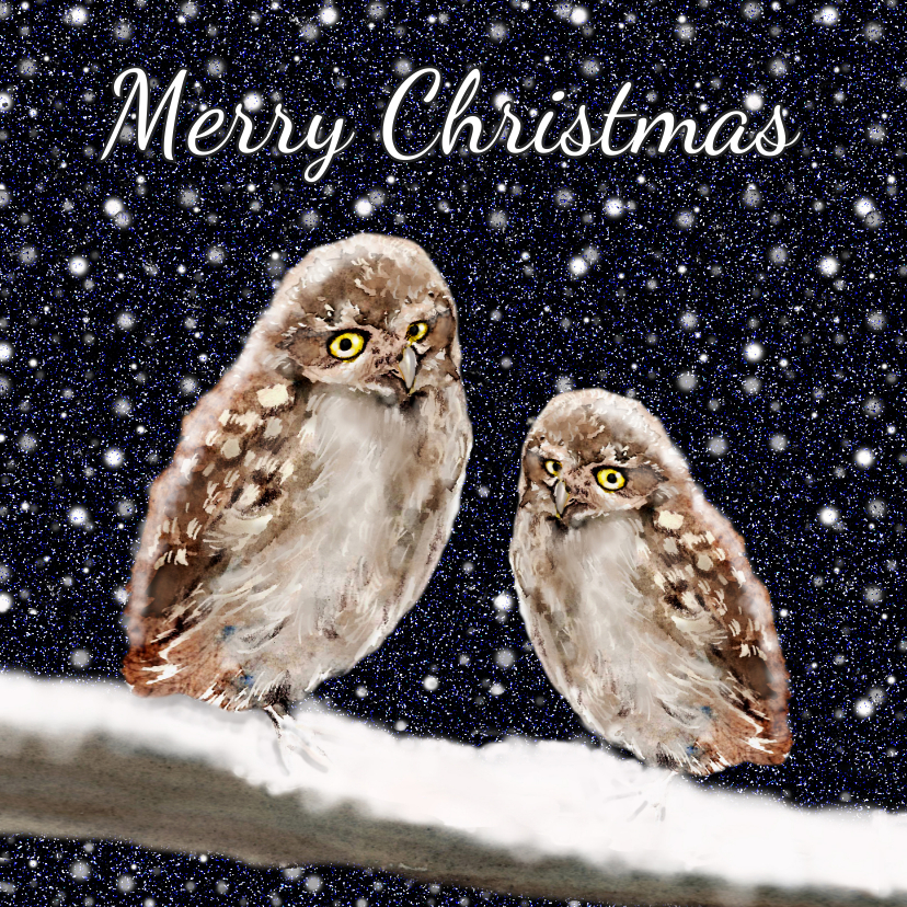 Kerstkaart Twee uilen op een tak in - Kerstkaarten Kerstkaarten - Kerstkaart Twee uilen op een tak in