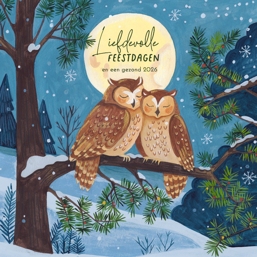 Kerstkaarten - Kerstkaart twee uiltjes in maanlicht in de sneeuw