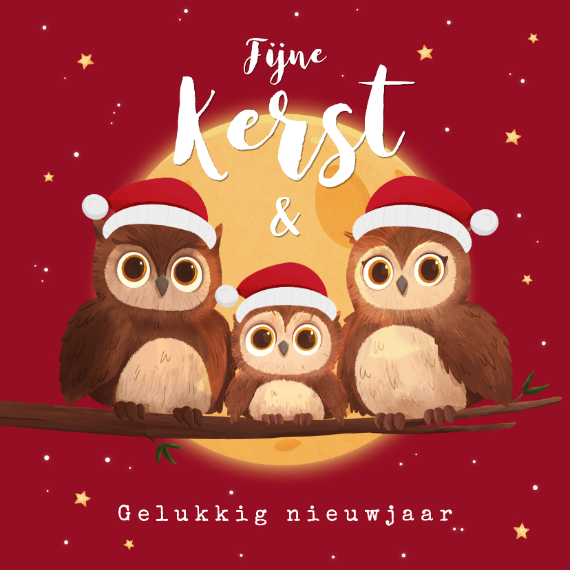 Kerstkaart uiltjes winter maan sterren fijne kerst nieuwjaar - Kerstkaarten Kerstkaarten - Kerstkaart uiltjes winter maan sterren fijne kerst nieuwjaar