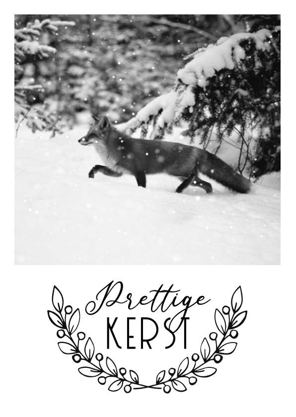 Kerstkaart van een vos in de sneeuw - Kerstkaarten Kerstkaarten - Kerstkaart van een vos in de sneeuw