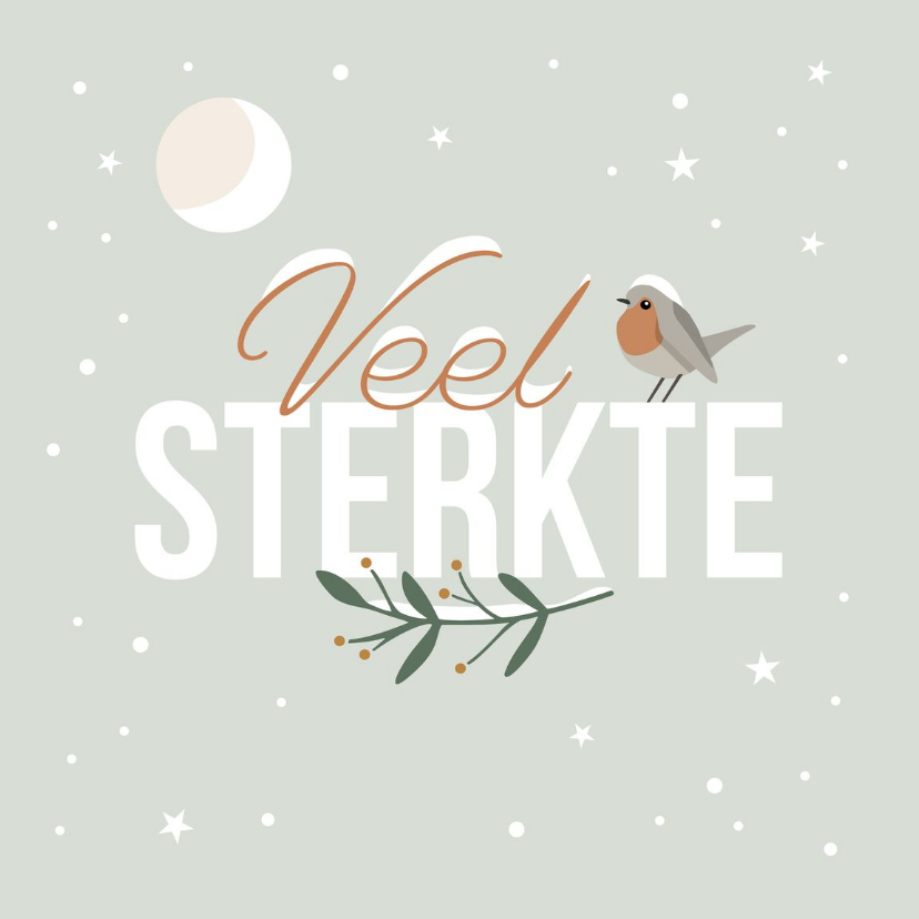 Kerstkaarten - Kerstkaart 'Veel sterkte' roodborstje in de sneeuw