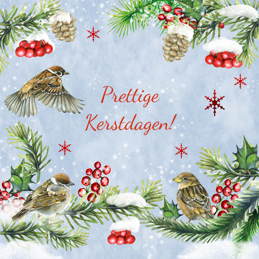 Kerstkaarten - Kerstkaart vogeltjes in sneeuw