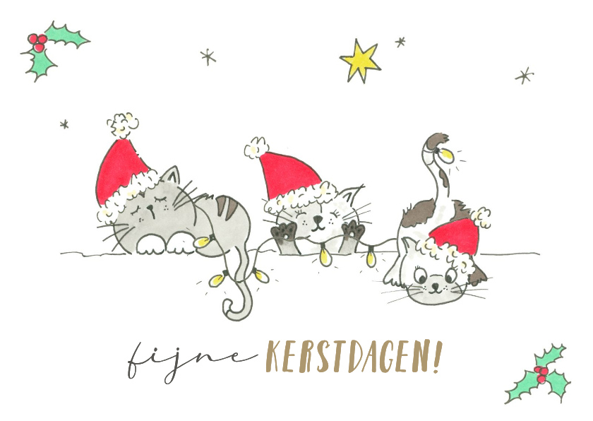 Kerstkaarten - Kerstkaart - Vrolijke katten met kerstelementen