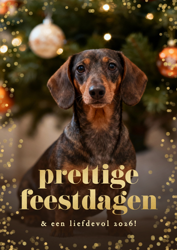 Kerstkaartje confetti grote foto hond prettige feestdagen - Kerstkaarten Kerstkaarten - Kerstkaartje confetti grote foto hond prettige feestdagen