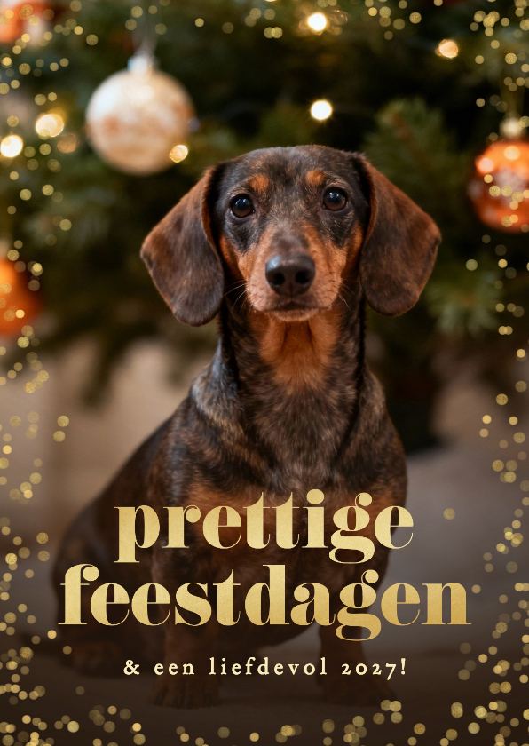 Kerstkaarten - Kerstkaartje confetti grote foto hond prettige feestdagen