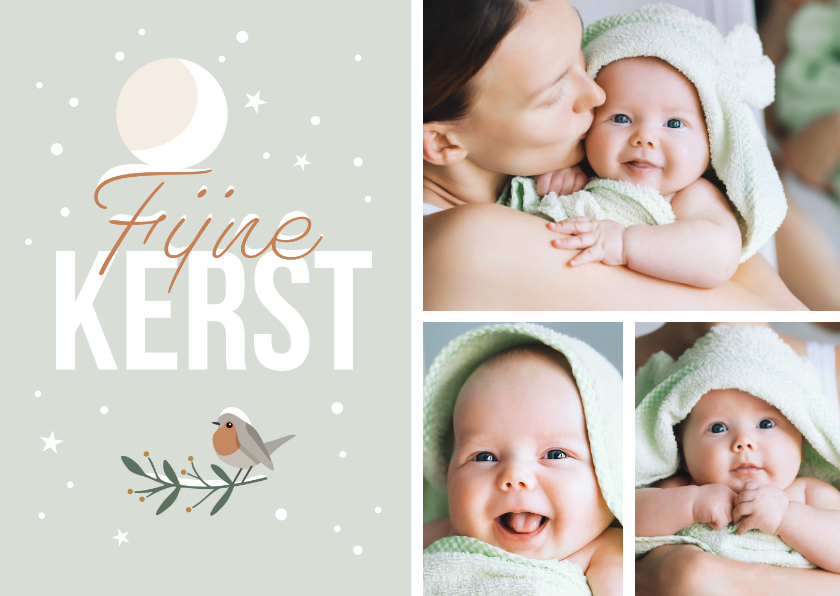 Kerstkaarten - Kerstkaartje fotocollage maan roodborstje en vlokjes