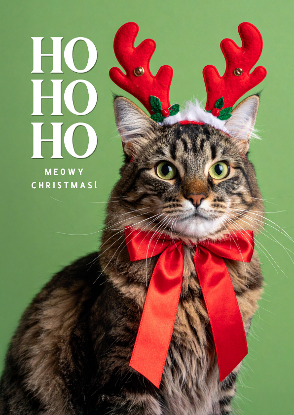 Kerstkaarten - Kerstkaartje grappige kat met strik en haarband groen