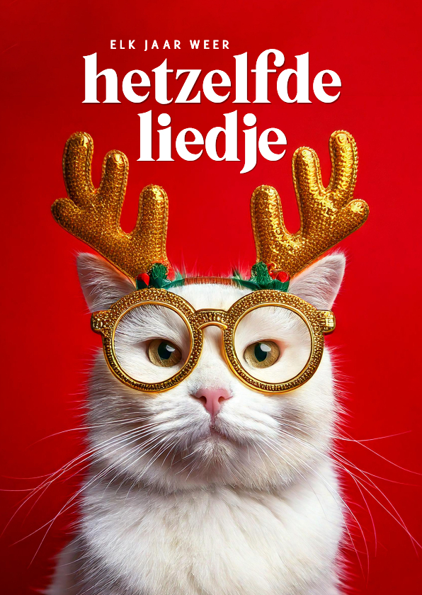 Kerstkaartjes met humor boze kat met gewei hetzelfde liedje - Kerstkaarten Kerstkaarten - Kerstkaartjes met humor boze kat met gewei hetzelfde liedje