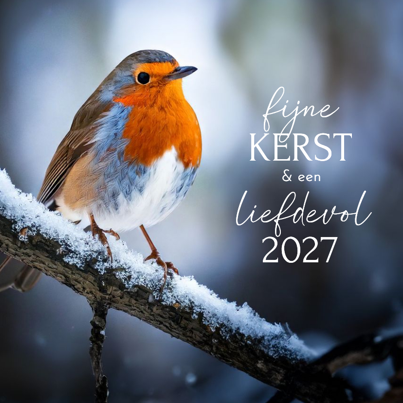 Klassieke kerstkaart met mooie foto roodborstje - Kerstkaarten Kerstkaarten - Klassieke kerstkaart met mooie foto roodborstje
