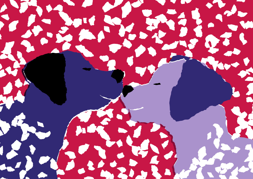 KNGF bedankkaart met twee hondjes in de sneeuw - Kerstkaarten Kerstkaarten - KNGF bedankkaart met twee hondjes in de sneeuw