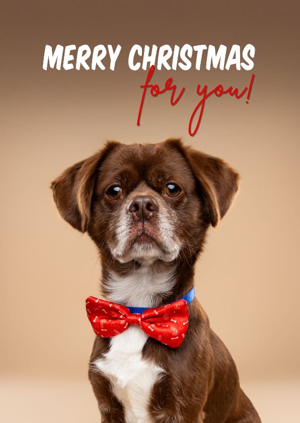 Kerstkaarten - Leuke kerstkaart van hondje met kerststrik