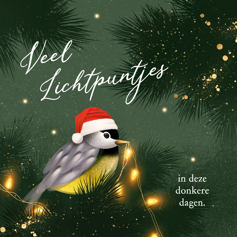 Lief kerstkaartje met vogeltje en lichtpuntjes - Kerstkaarten Kerstkaarten - Lief kerstkaartje met vogeltje en lichtpuntjes
