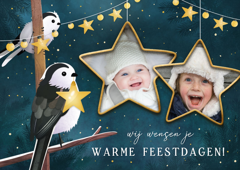 Lieve kerstkaart met 2 vogels met lampjes en eigen foto's - Kerstkaarten Kerstkaarten - Lieve kerstkaart met 2 vogels met lampjes en eigen foto's