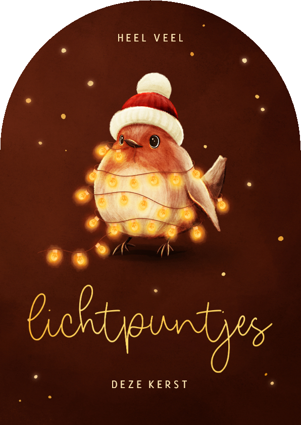 Lieve kerstkaart roodborstje lichtpuntjes voor jou - Kerstkaarten Kerstkaarten - Lieve kerstkaart roodborstje lichtpuntjes voor jou